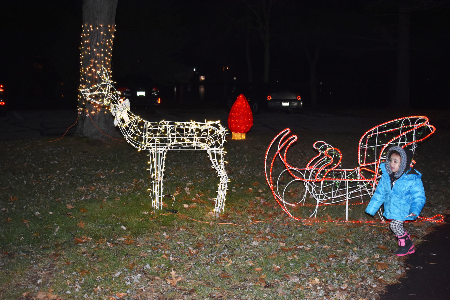 Chandler gallery -- sleigh
